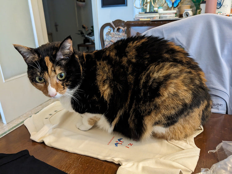 A calico cat sitting on a natural-colored baby bodysuit with a red and blue rooster pattern printed on the front.